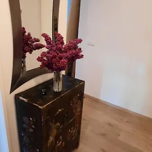 Schone In Der Grazer Innenstadt Apartment